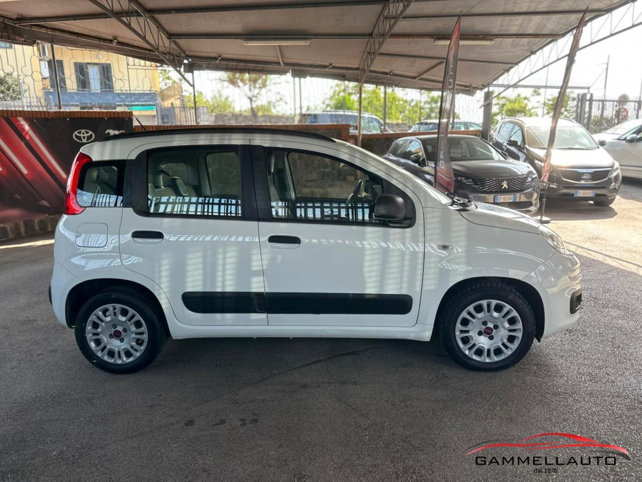 Fiat New Panda 1.3 mjt S&S Easy 95cv