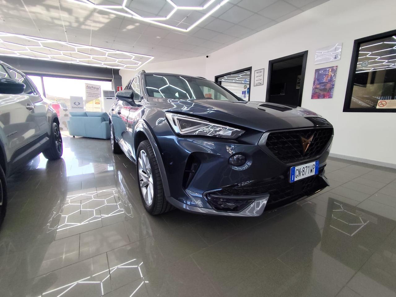 Cupra Formentor 2.0 TDI 4Drive DSG