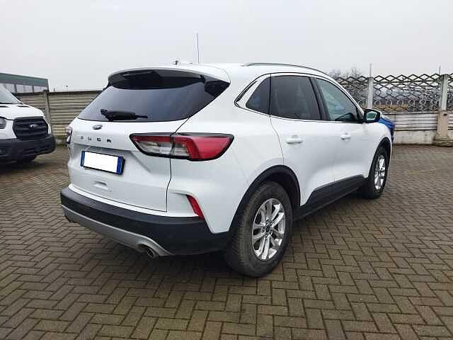 Ford Kuga 1.5 EcoBlue 120 CV 2WD Titanium Business