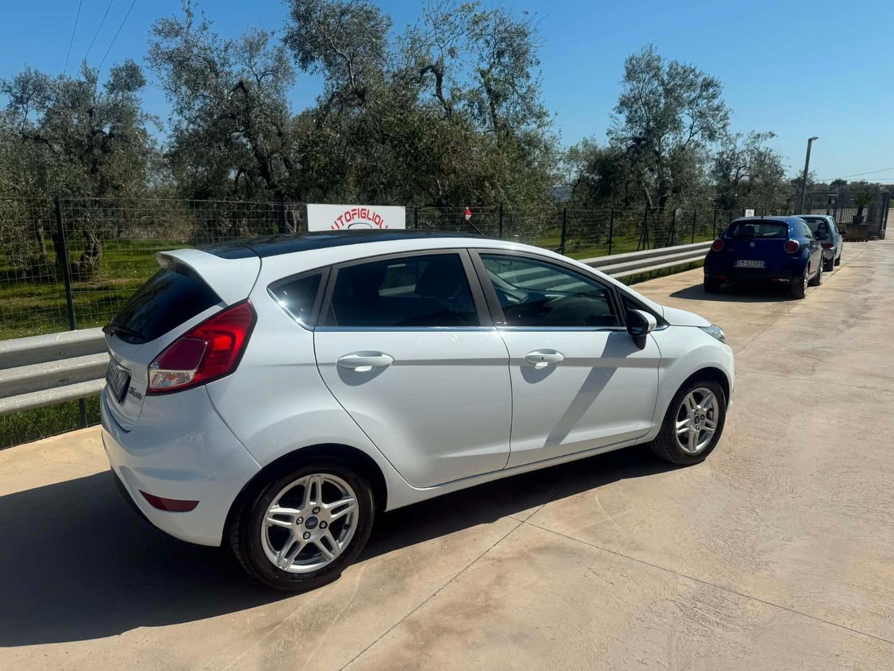 Ford Fiesta 1.5 TDCi 75CV 5 porte Titanium 2014