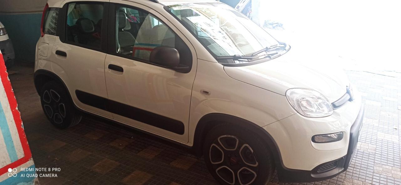 Fiat Panda 1.0 FireFly S&S Hybrid km 56.000
