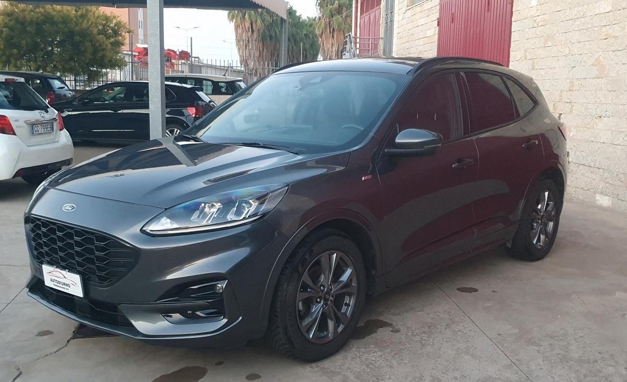 Ford Kuga 1.5 EcoBlue 120 CV aut. 2WD ST-Line