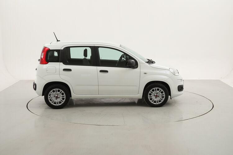 Fiat Panda Easy BR097918 1.2 Benzina 69CV