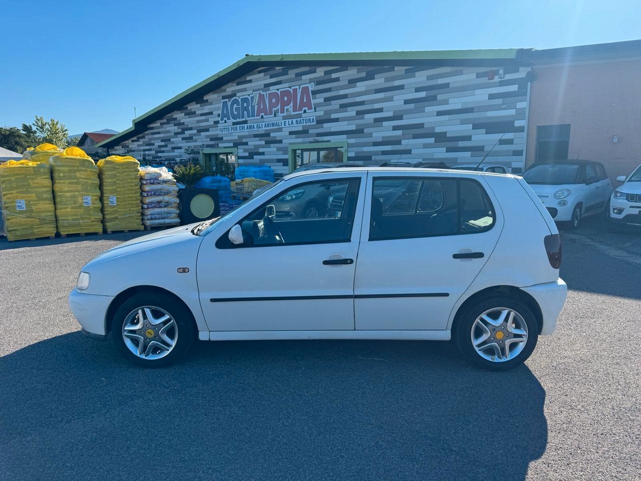 Volkswagen Polo 1.0 benzina 50cv 5P 1998