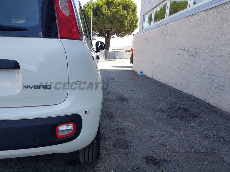 FIAT Panda Panda 1.0 firefly hybrid s&s 70cv 5p.ti
