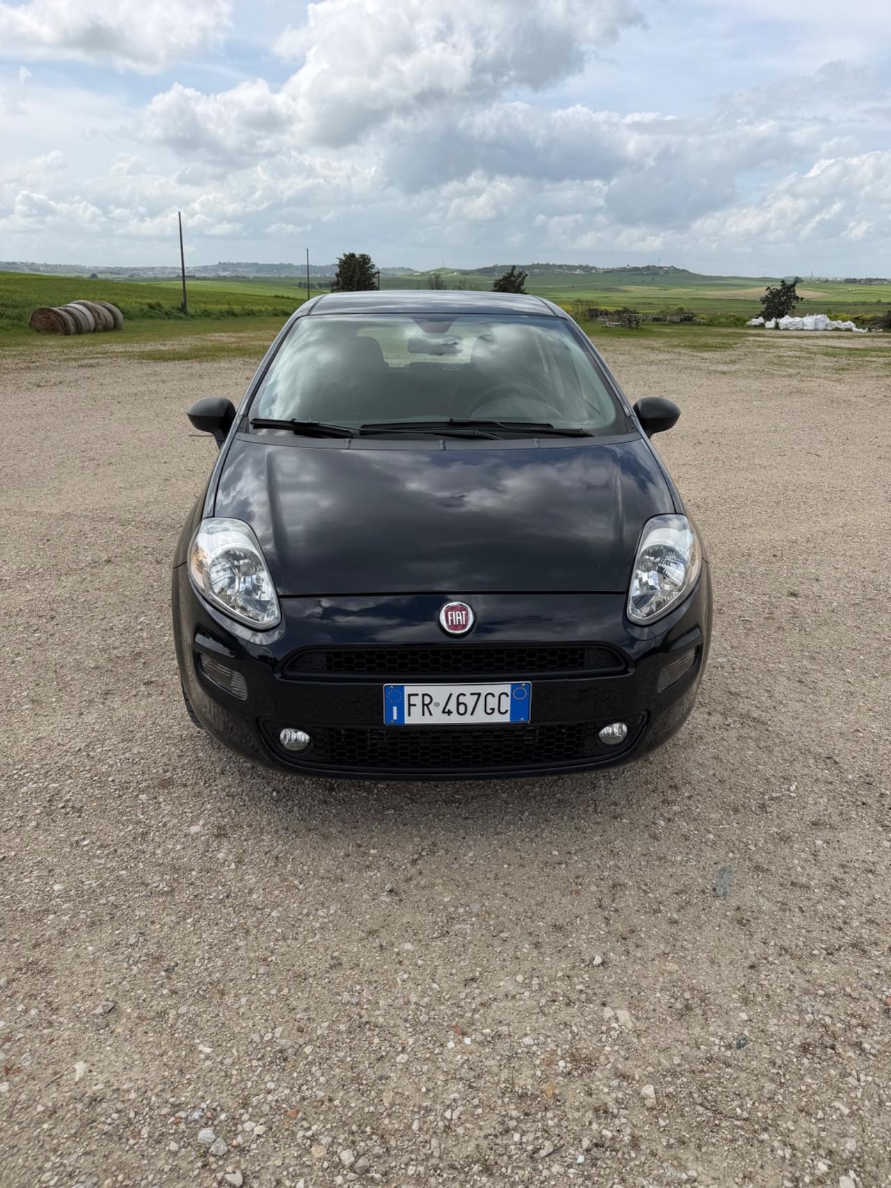 Fiat Punto 1.3 MJT II S&S 95 CV 5 porte Street