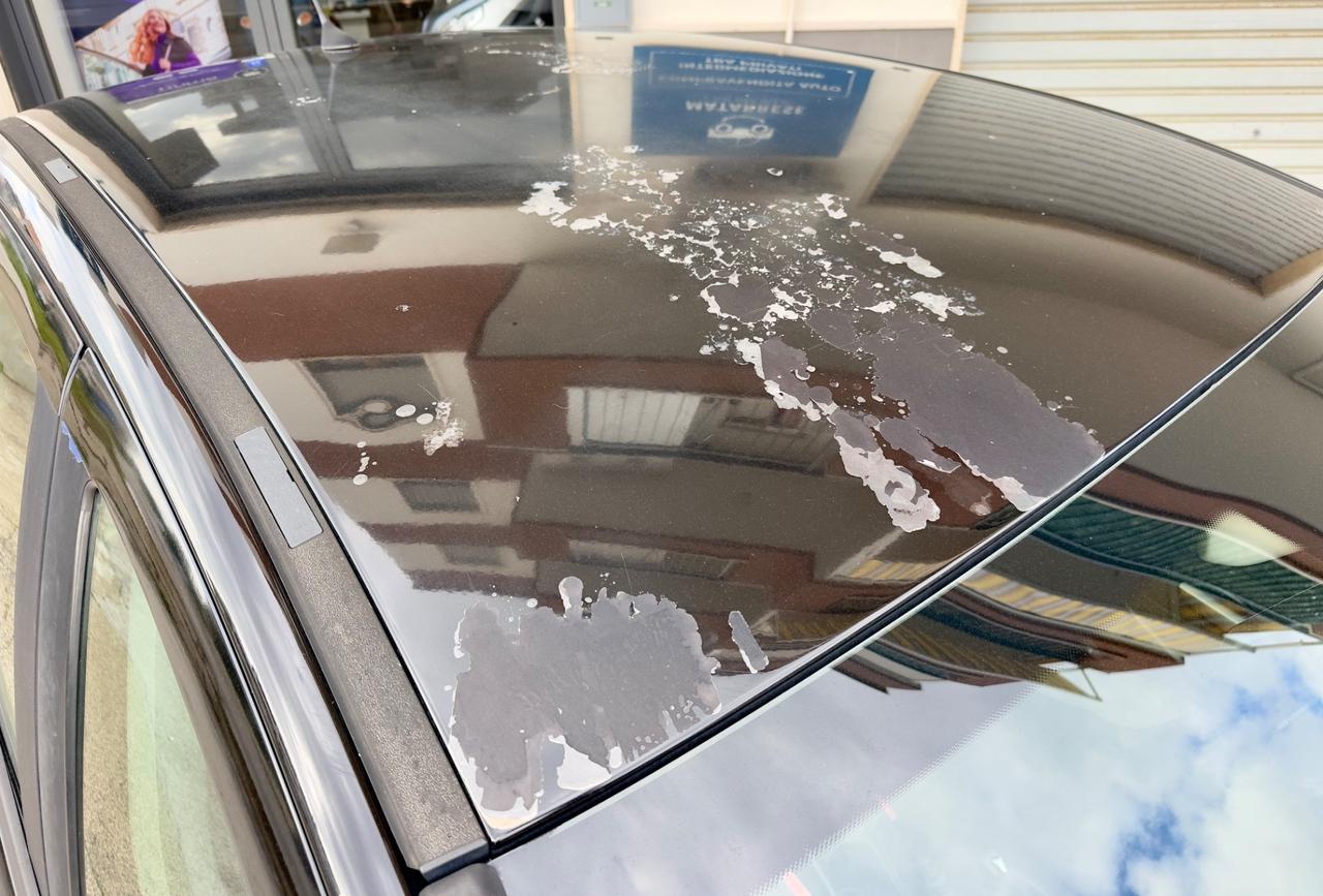 Peugeot 308 1.6 8V HDi 93CV 5p. Tecno