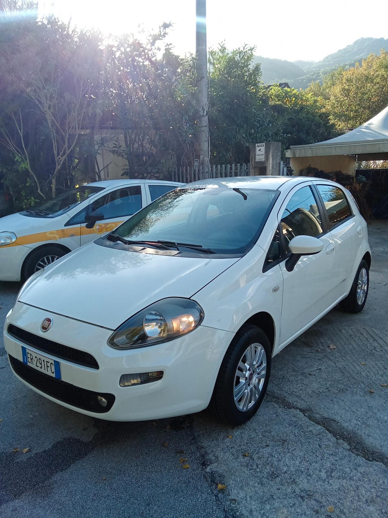 Fiat Punto 1.4 8V 5 porte Natural Power Street 013