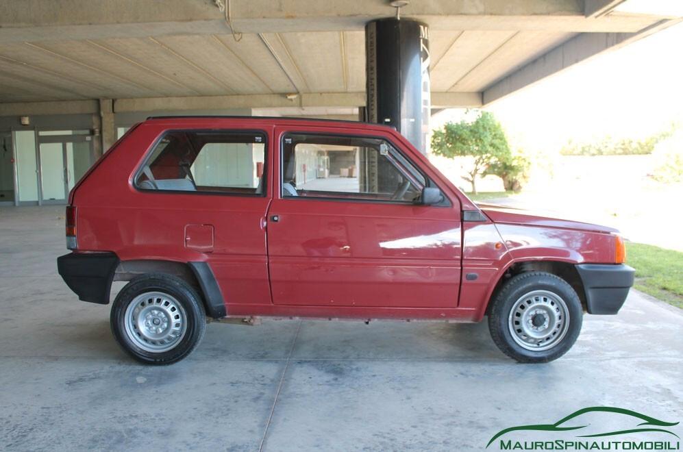 Fiat Panda 1100 i.e. cat Young