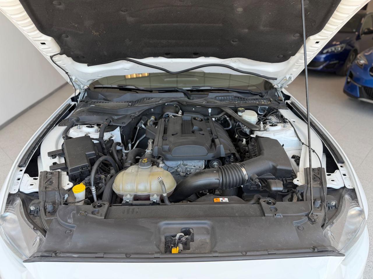 Ford Mustang Premium 2.3 EcoBoost #11589