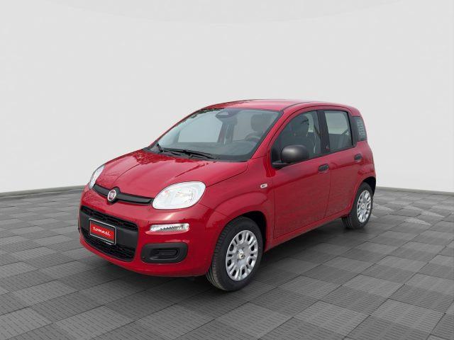 FIAT Panda Pandina 1.0 FireFly 65 CV Hybrid Pop