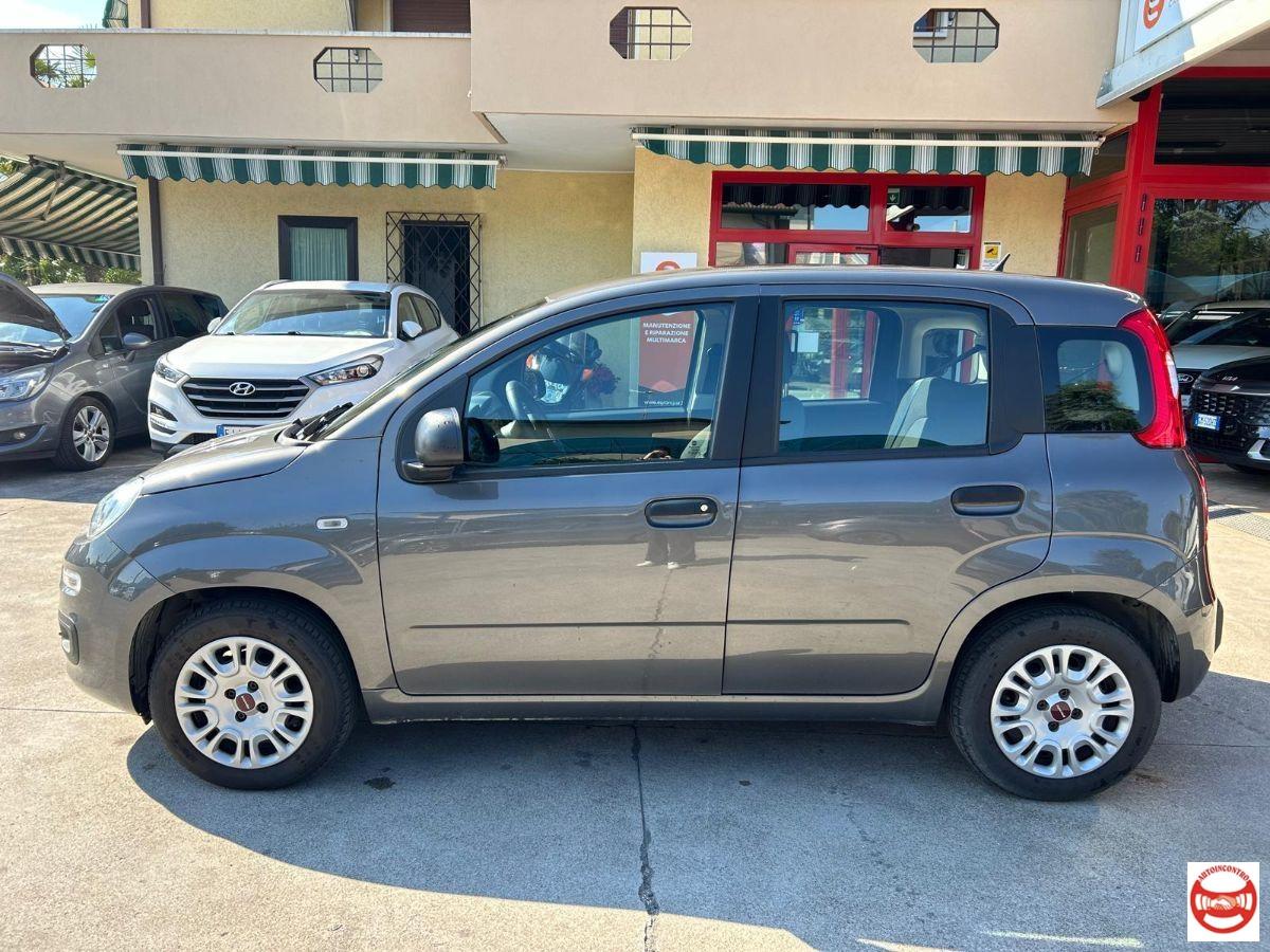 FIAT - Panda 1.2 Easy easypower Gpl 69cv my19