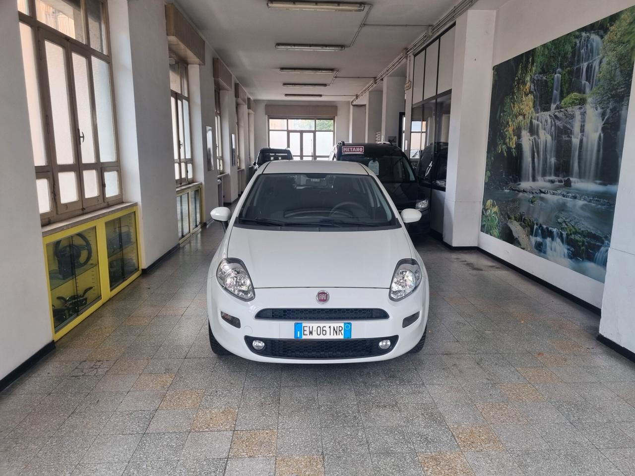 Fiat Punto 1.4 8V 5 porte Natural Power Street