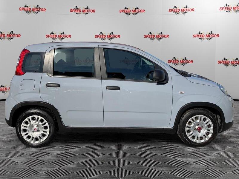 FIAT Panda Panda 1.0 firefly hybrid 70cv, CARPLAY, PRONTA CONSEGNA!