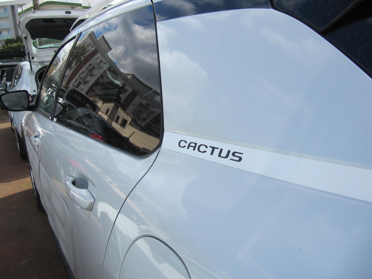 Citroen C4 Cactus BlueHDi 100 Shine