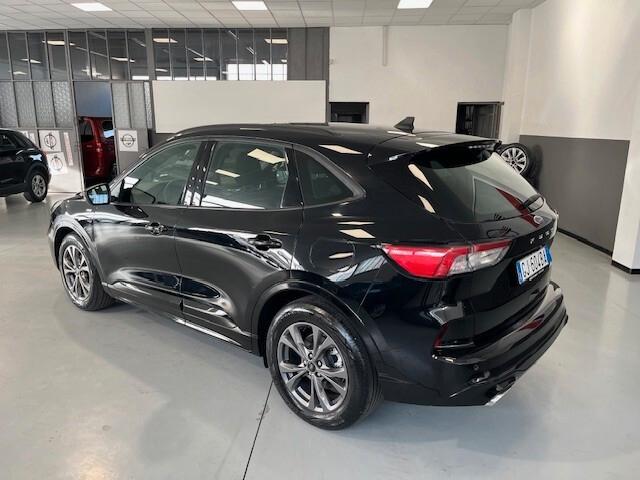 Ford Kuga 1.5 EcoBlue 120 CV 2WD ST-Line