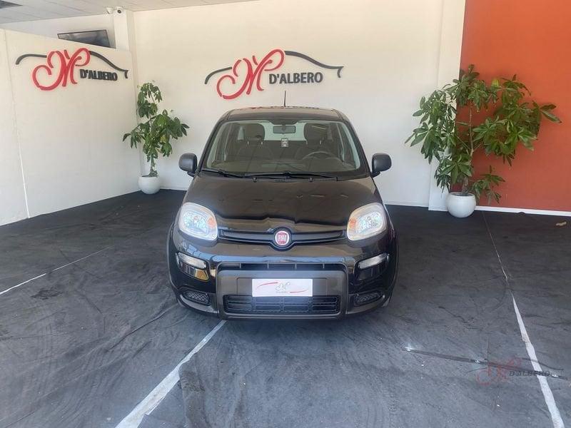 FIAT Panda 1.0 FireFly 70cv S&S Hybrid