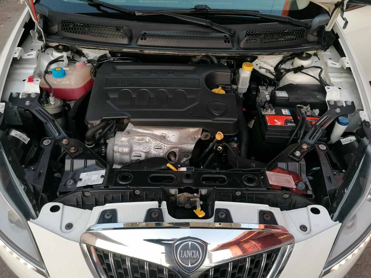 Lancia Delta 1.6 MJT Platino( da vetrina)