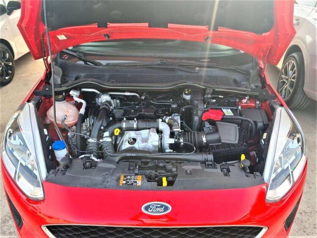 Ford Fiesta 1.5 EcoBlue 5 porte Business