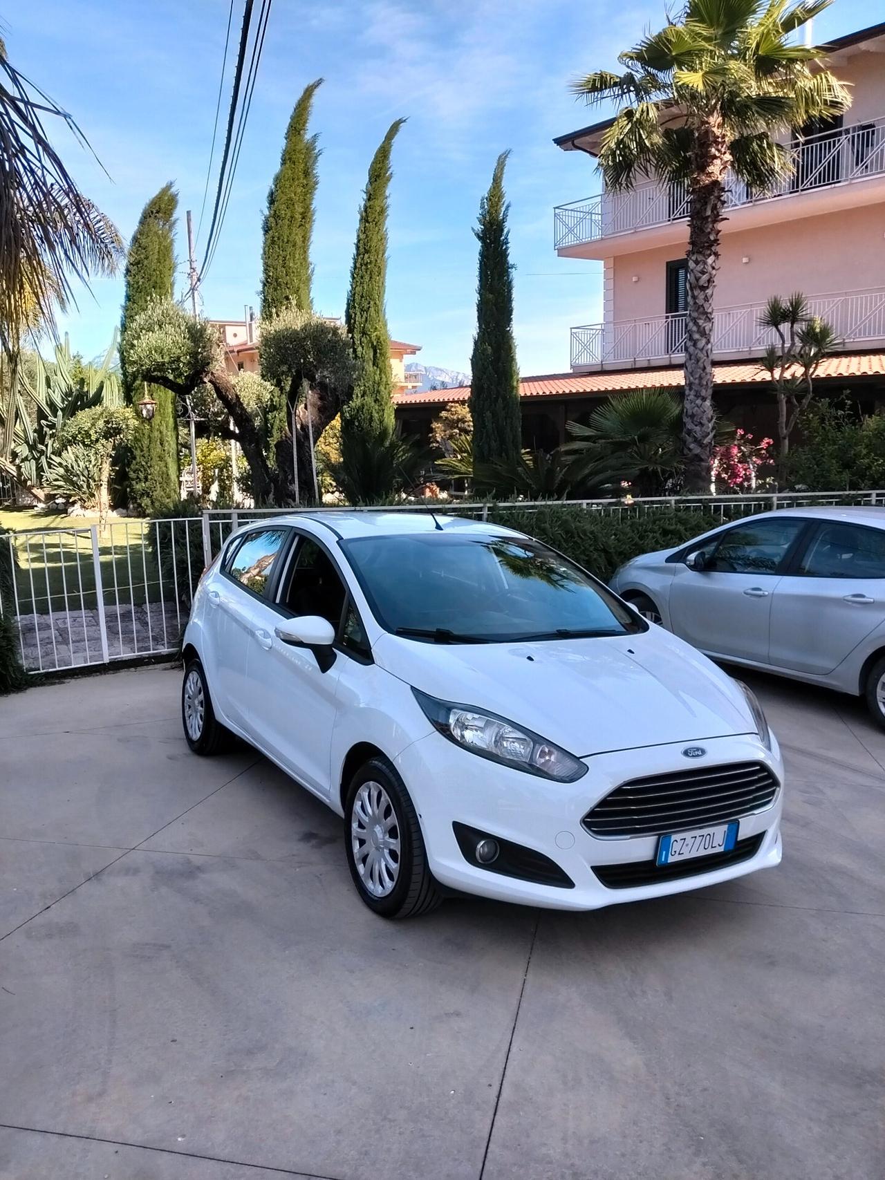 Ford Fiesta 1.4 5 porte Bz.- GPL