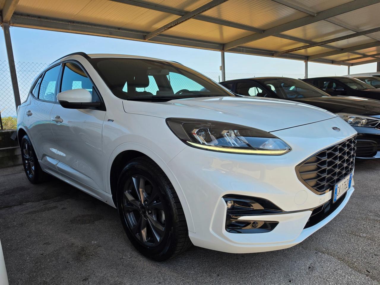 Ford Kuga 1.5 EcoBlue 120 CV 2WD ST-Line Design