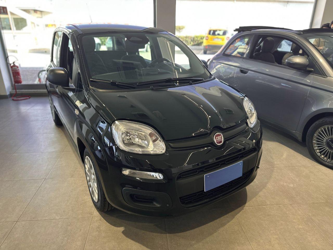 FIAT Pandina III 2024 - Pandina 1.0 firefly hybrid Pop s&s 70cv