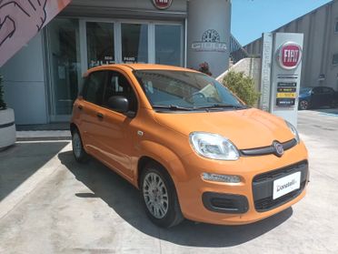 Fiat Panda 1.0 Firefly S&S Hybrid 70 CV