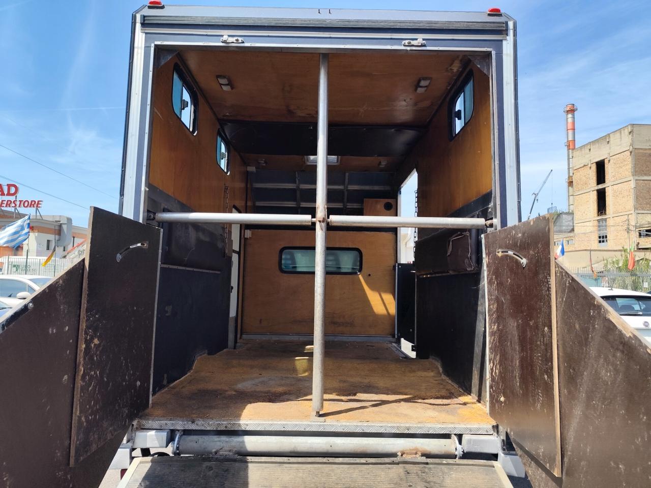 Iveco Trasporto cavalli 35c14