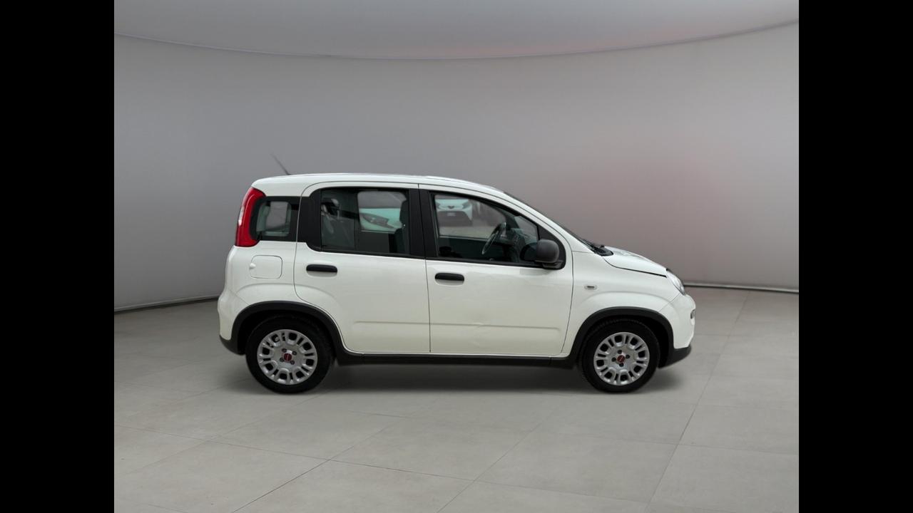 FIAT Panda III 2021 - Panda 1.0 firefly hybrid s&s 70cv 5p.ti
