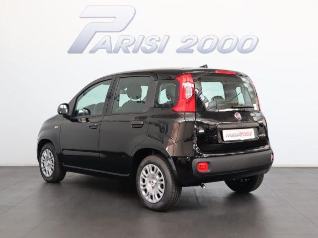 FIAT Panda 1.0 FireFly S&S Hybrid *PROMO PARISI GROUP*