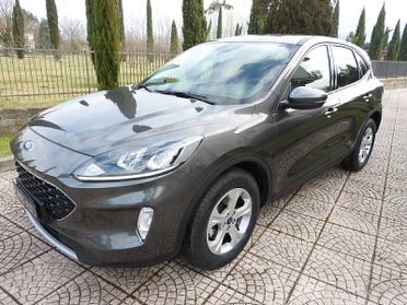FORD KUGA diesel