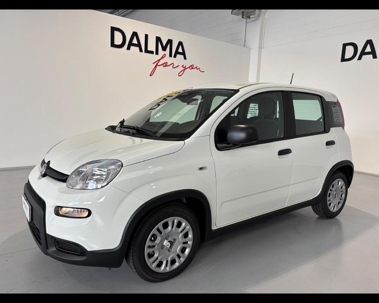 FIAT Pandina III 2024 - Pandina 1.0 firefly hybrid Pop s&s 70cv