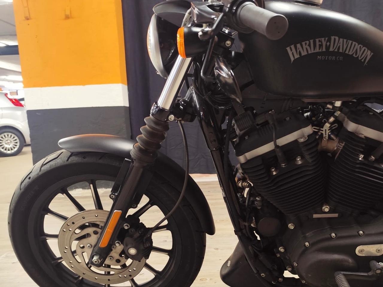 MERAVIGLIOSA HARLEY DAVIDSON SPORTSTER XL 883 IRON SPECIAL EDITION