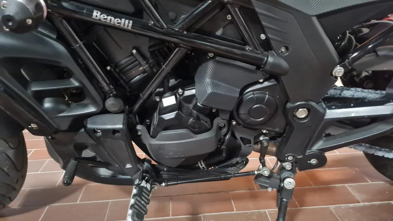 Benelli 502 C ( 2019 / 2020 )