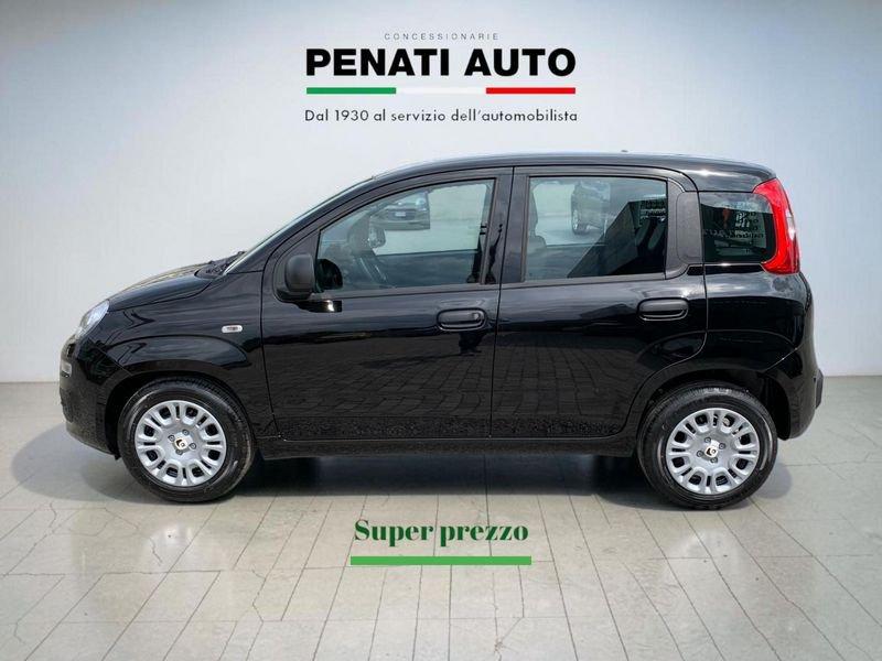 FIAT Pandina 1.0 FireFly 65cv S&S 6m Hybrid Icon