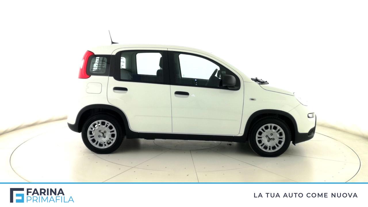 FIAT Panda 1.0 70cv Hybrid Panda