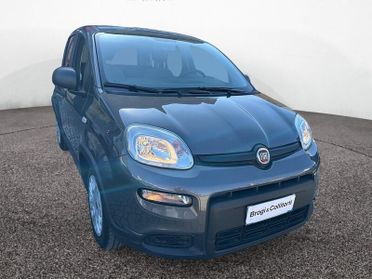 FIAT Panda III 2021 1.0 FireFly Hybrid 70cv S&S