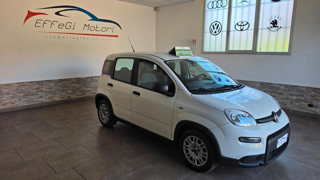 Fiat Panda Hybrid Firefly 69cv