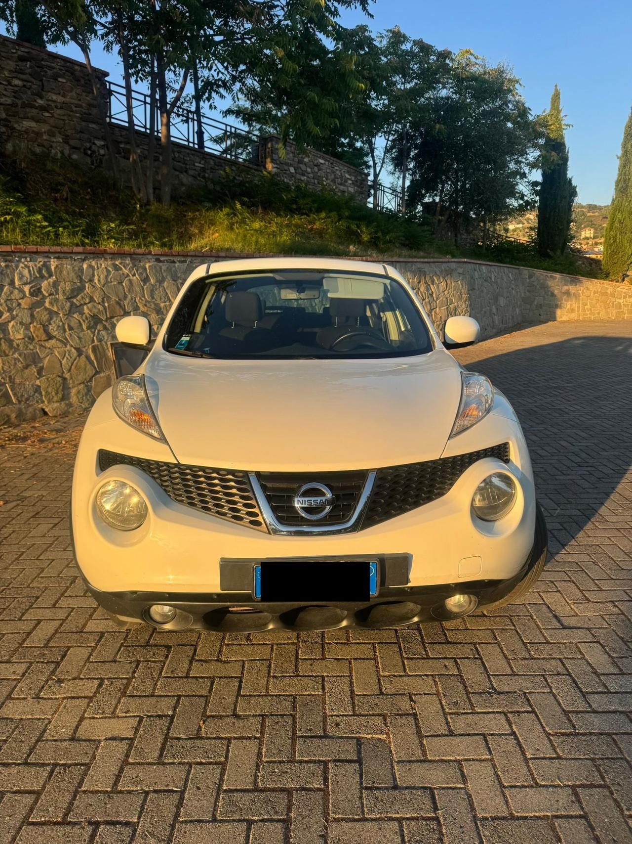 Nissan Juke 1.5 dCi 110Cv 2013