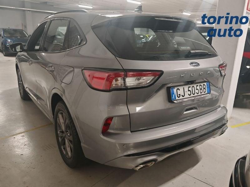 Ford Kuga Kuga 1.5 EcoBlue 120 CV 2WD ST-Line