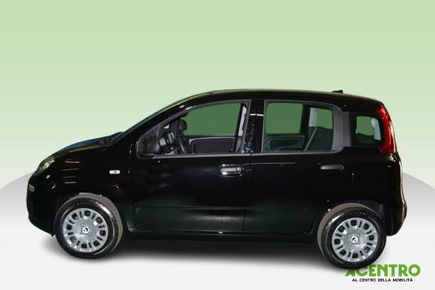 FIAT PANDA - PANDA 1.0 70CV HYBRID ICON
