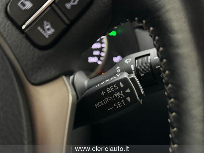 Lexus NX 300 Hybrid 4WD Luxury (TETTO PAN.)