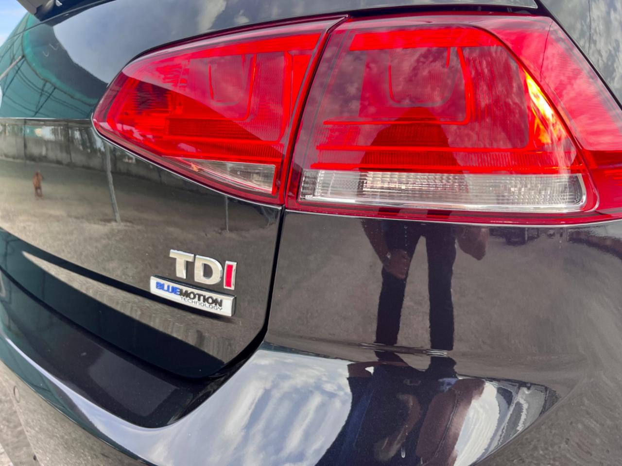 Volkswagen Golf 1.6 TDI 110 CV 5p. Lounge BlueMotion Technology