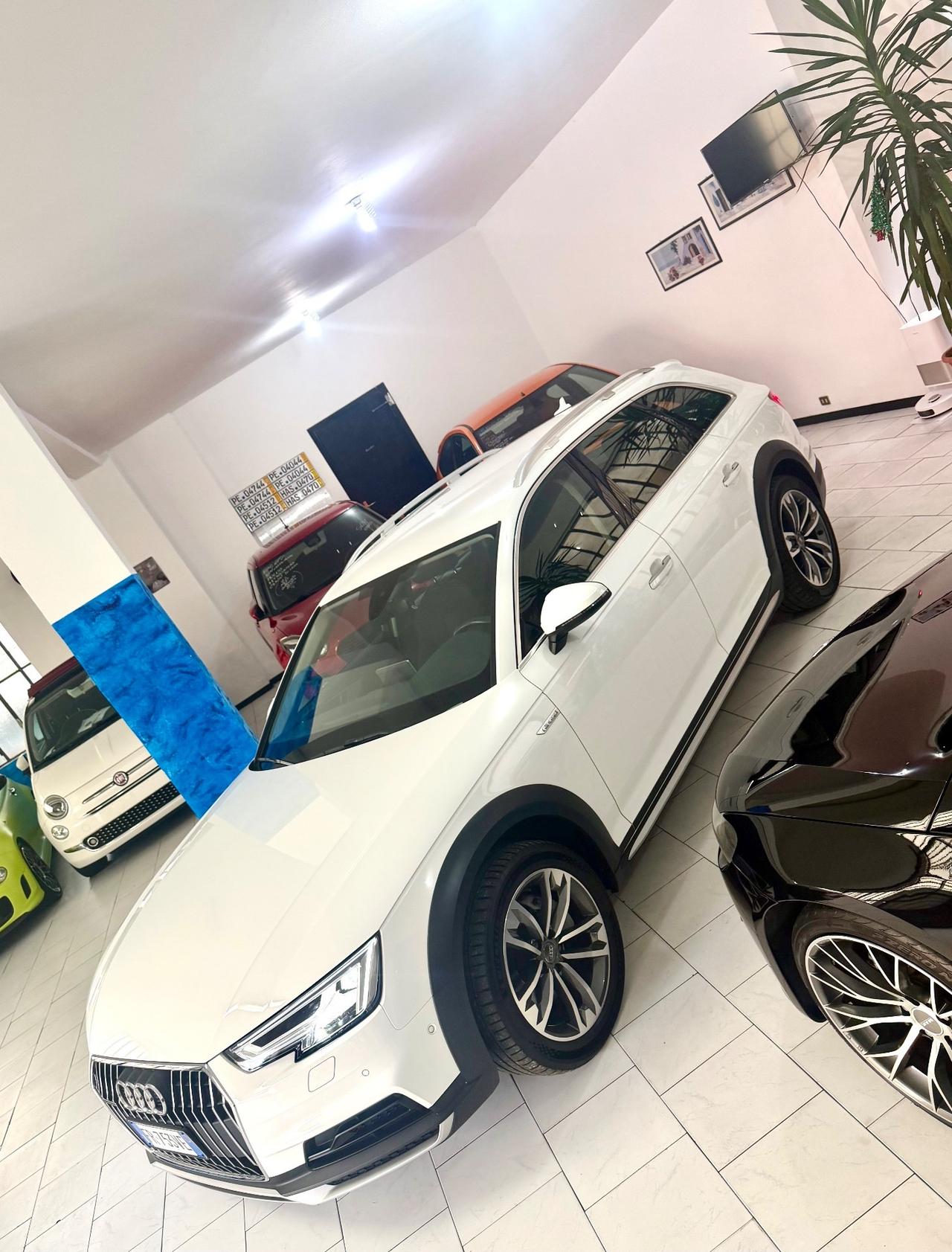 Audi A4 allroad 2.0 TDI Business Evolution Plus