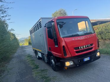 Iveco Eurocargo trasportato animali vivi