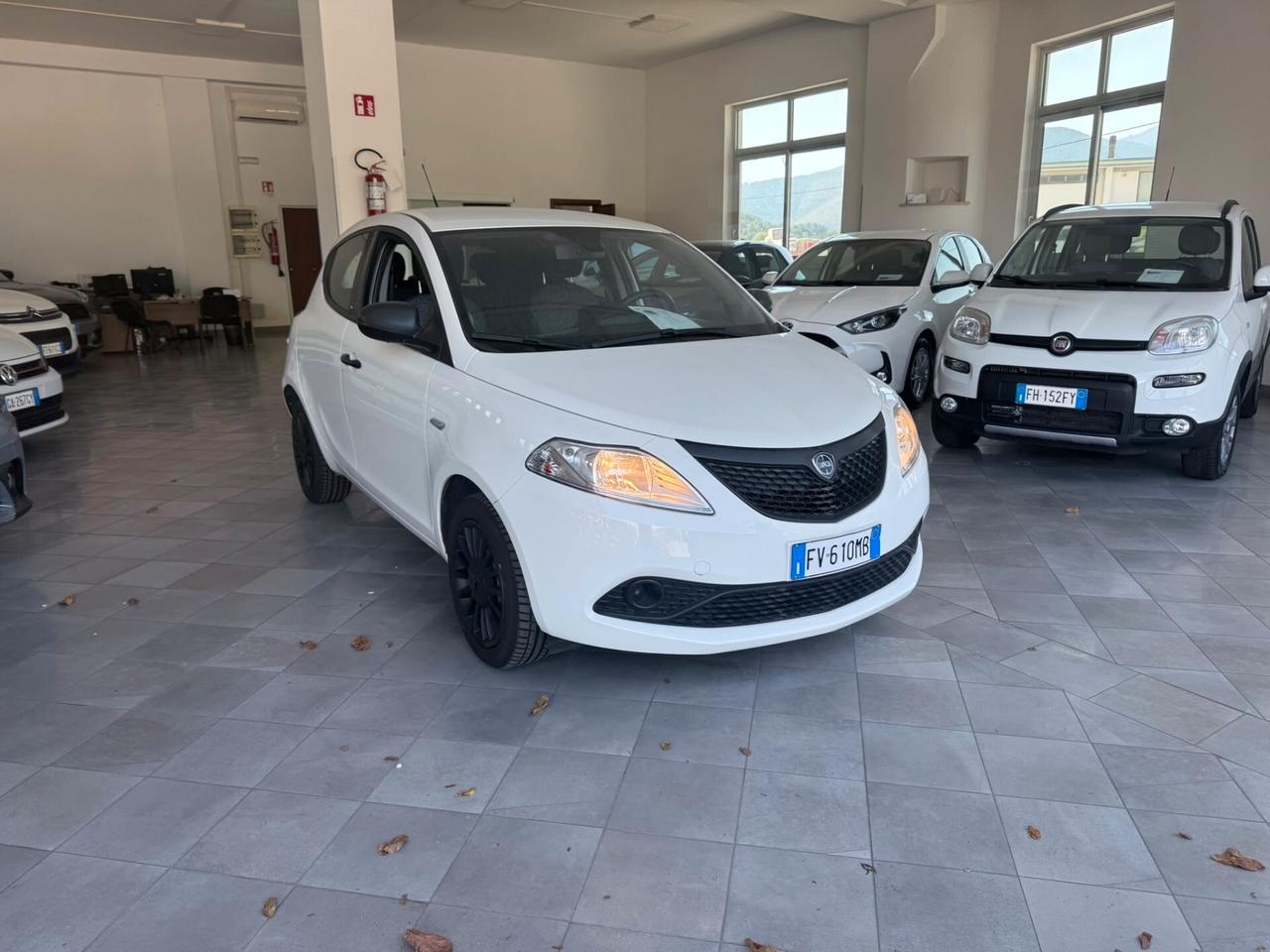 Lancia Ypsilon 1.2 69 CV 5 porte Elefantino Blu