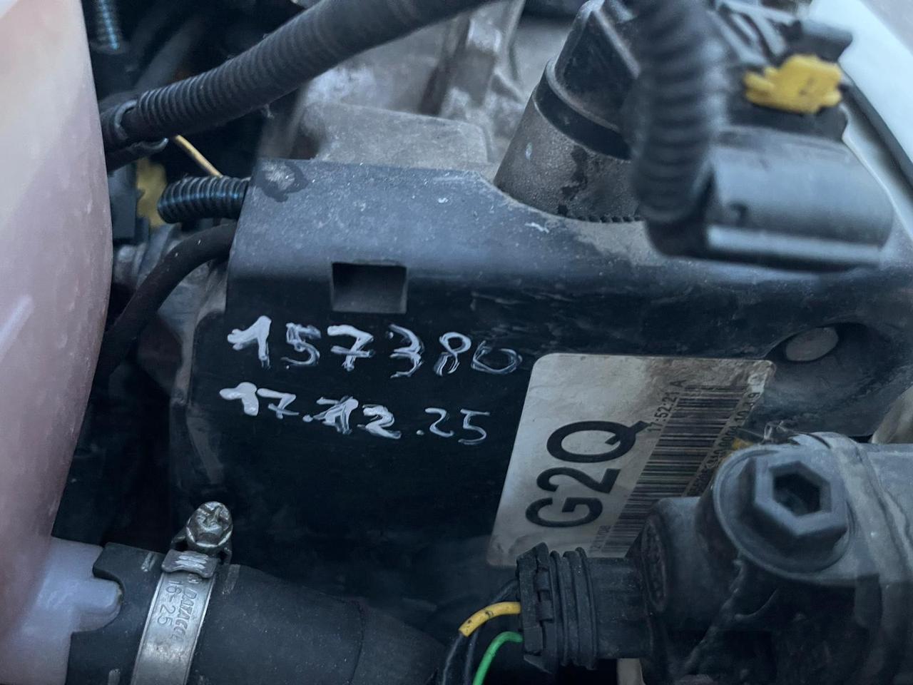Fiat 600 1.1 benzina 54cv Neop.