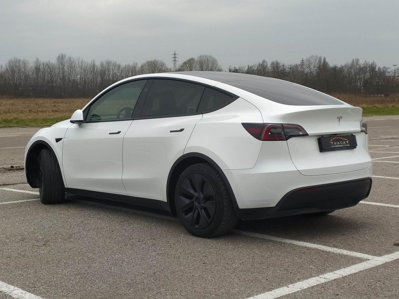 Tesla Model Y Standard Range / Standard #9113