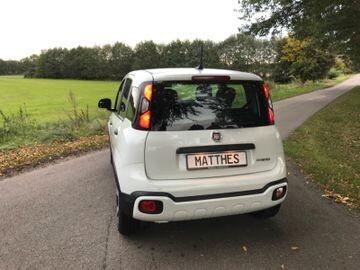 Fiat Panda 1.0 FireFly S&S Hybrid City Cross