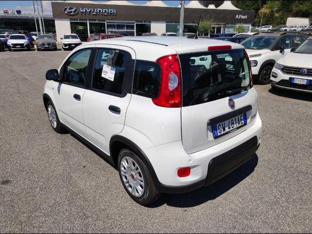 FIAT Panda 1.0 firefly hybrid s&s 70cv